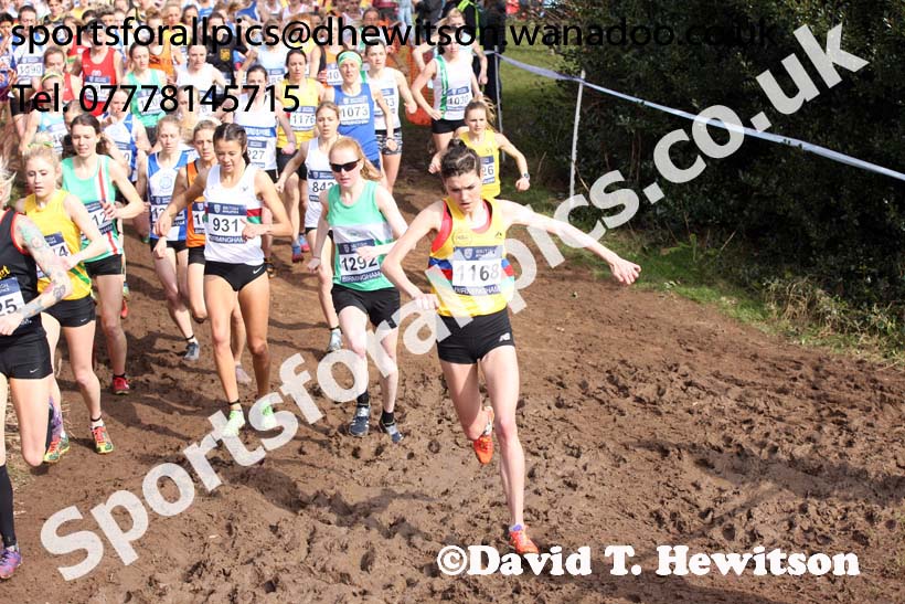 Senior womens 2016 Inter Counties Cross Country Champs. and Cross Challenge Final, Cofton Park, Birmingham. Photo: David T. Hewitson/Sports for All Pics